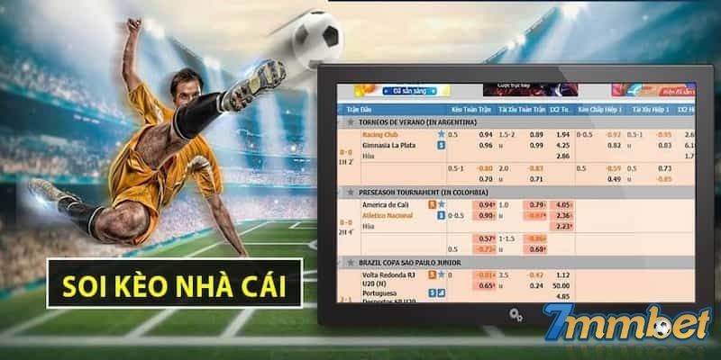 Hiểu rõ các dạng cược khi soi kèo nhà cái